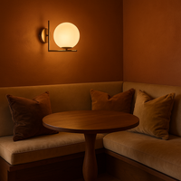 Dara Wall Light