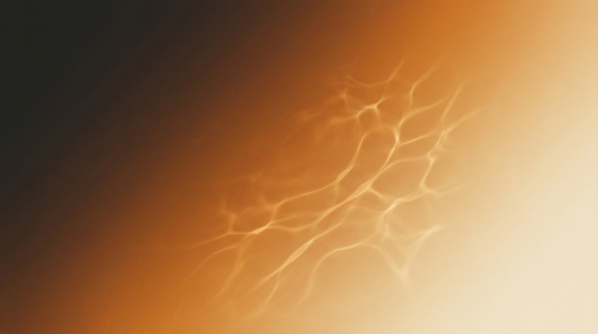 We sculpt light
for living.